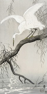 Image 2JP5033 Ohara Koson White heron on tree branch