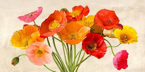 2LC2928-Poppies-in-Spring-FLEURS--Luca-Villa