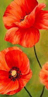 2LC3434-Poppies-in-the-wind-I-FLEURS--Luca-Villa