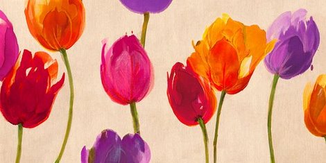 Image 2LC3436 Tulips & Colors FLEURS DECORATIF Luca Villa