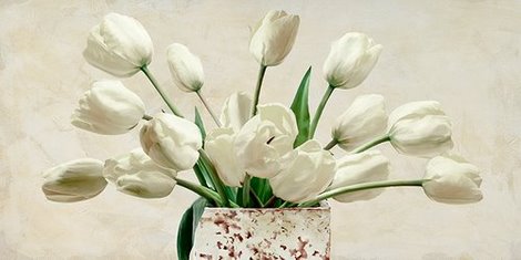 Image 2LN2525 Bouquet blanc FLEURS FLEURS Leonardo Sanna 