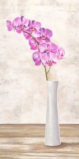Image 2MI2401 Orchid Arrangement FLEURS DECORATIF Shin Mills