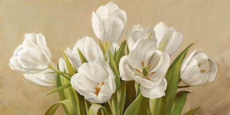 Image 2SE808 Tulipani bianchi FLEURS FLEURS Serena Biffi