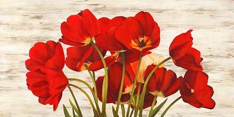 2SE810-French-Tulips-FLEURS-FLEURS-Serena-Biffi