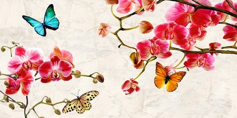 2TR1891-Orchids--Butterflies-FLEURS-DECORATIF-Teo-Rizzardi