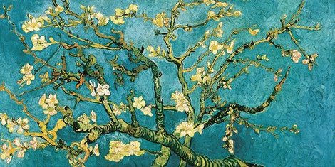 2VG051-Mandorlo-in-fiore-(detail)-PEINTRE-FLEURS-Vincent-van-Gogh