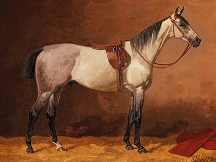 3AA3062-Saddled-sport-horse-ART-CLASSIQUE-CARTE-Emil-Volkers
