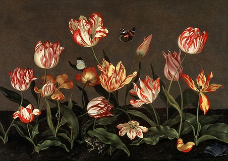 3AA5040-Johannes-Bosschaert-Still-Life-with-Tulips