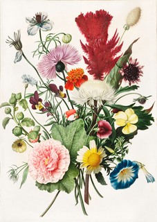3AA5642-Anonymous-Bouquet-of-Flowers