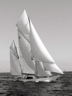 Image 3AP3305 Classic sailboat MARIN MARIN Anonymous 