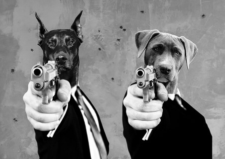 Image 3AP5607 VizLab Reservoir Dogs