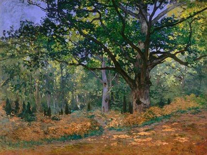 3CM2176-The-Bodmer-Oak-Fontainebleau-Forest--PEINTRE-PAYSAGE-Claude-Monet
