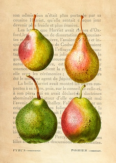 3DE5343-Remy-Dellal-Pears,-After-Redoute