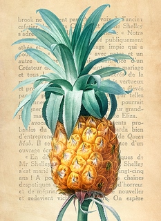 3DE5344-Remy-Dellal-Pineapple,-After-Redoute