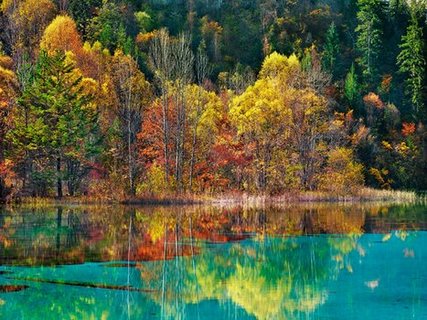 Image 3FK3160 Forest in autumn colours Sichuan China PAYSAGE  Frank Krahmer
