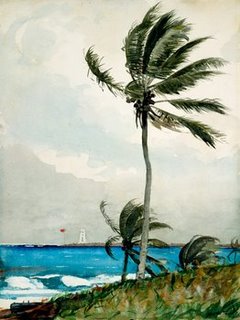Image 3HO2157 Palm Tree Nassau ART MODERNE PAYSAGE Winslow Homer