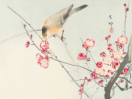 3JP5036-Ohara-Koson-Songbird-on-blossom-Branch