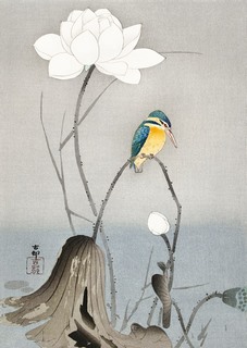 Image 3JP5684 Ohara Koson Kingfisher with Lotus Flower