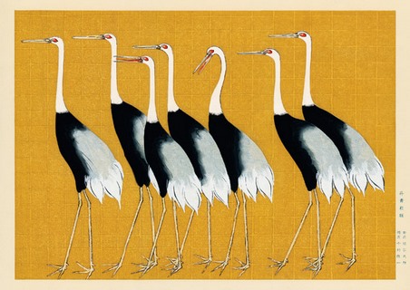3JP5697-Ogata-Korin-Flock-of-Japanese-red-crown-cranes