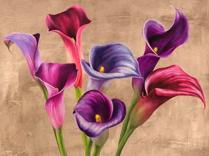 3JT3489-Multi-colored-Callas-FLEURS-DECORATIF-Jenny-Thomlinson