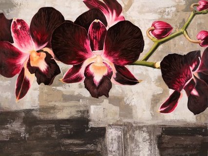 Image 3MI1889 Velvet Orchids FLEURS DECORATIF Shin Mills