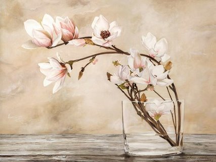 Image 3MV3469 Fiori di magnolia FLEURS DECORATIF Cristina Mavaracchio