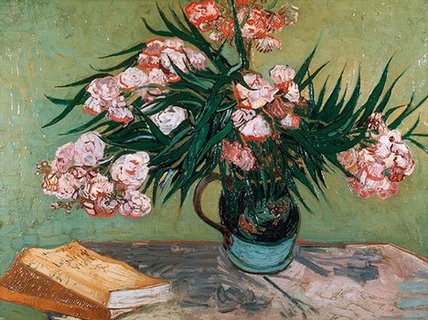 3VG060--Vase-with-Oleanders-and-Books-PEINTRE-FLEURS-Vincent-van-Gogh