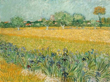 Image 3VG114 Field with Irises near Arles  PEINTRE PAYSAGE Vincent van Gogh