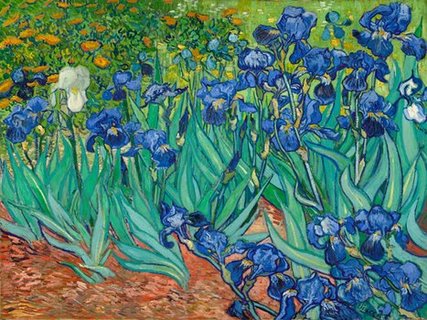 Image 3VG1436 Irises  PEINTRE FLEURS Vincent van Gogh