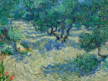 Image 3VG1542 Olive Orchard PEINTRE PAYSAGE Vincent van Gogh