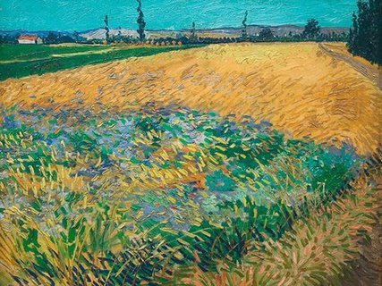 3VG558-Wheatfield-PEINTRE-PAYSAGE-Vincent-van-Gogh