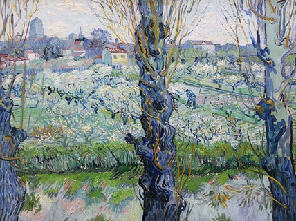 3VG7130-View-of-Arles-Vincent-VAN-GOGH