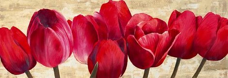 Image 4AN1217 Red Tulips FLEURS FLEURS Cynthia Ann