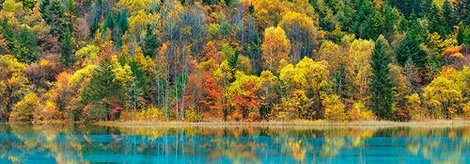 4FK3134-Lake-and-forest-in-autumn-China-PAYSAGE--Frank-Krahmer