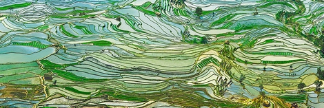 Image 4FK5199 Frank Krahmer  Rice Terraces, Yunnan, China