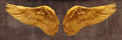 4JO3982-Angel-Wings-(Gold-I)-DECORATIF--Joannoo-