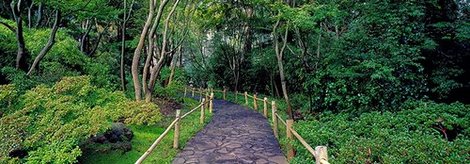 4RB2260-Tea-Garden-Walkway-San-Francisco-Botanical-Gardens-PAYSAGE--Richard-Berenholtz