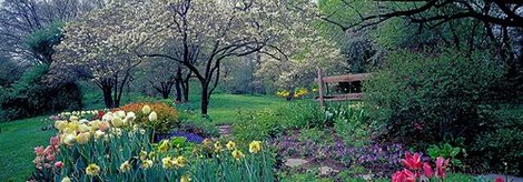 4RB2261-Country-garden-Old-Westbury-Gardens-Long-Island-PAYSAGE--Richard-Berenholtz