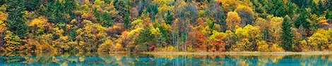 Image 5FK3136 Lake and forest in autumn China PAYSAGE  Frank Krahmer