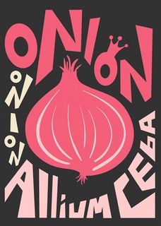 a658d-Ayse-Kitchen-Onion
