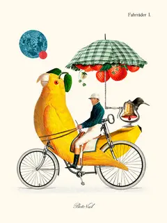 Bird-Cycle-Beto-Val