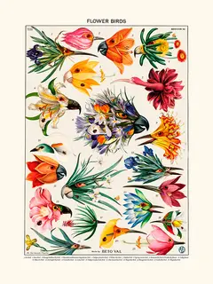 Beto-Val-Flower-birds-inventory-SE_FLOWERBIRDSI