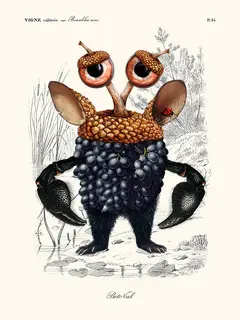Beto-Val-Grapes-Crabes-SE_GRAPESCRABES