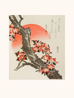 Katsushika-Hokusai-Branche-de-cerisier-en-fleurs-1890-SE_HokusaiBranchedecerisierenfleursLabitEst3