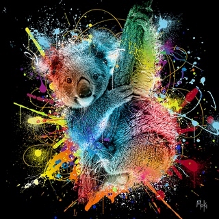 Image ig10004 Moki Koala Color
