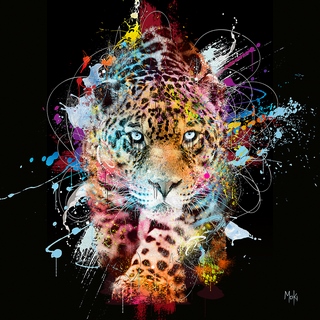 Image ig10018 Moki Leopard Pop