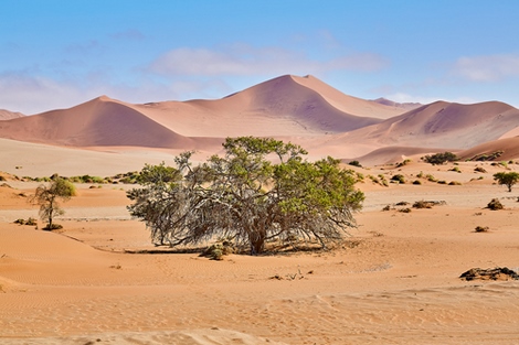 ig9739-Peter-Hillert-Namib-Sandsea