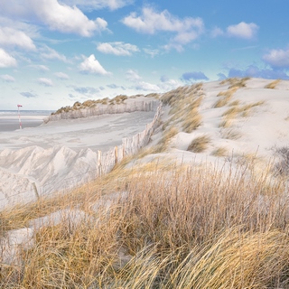 Image ig9935 Georges-Félix Cohen Les Dunes VII