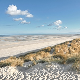 ig9936-Georges-Felix-Cohen-Les-Dunes-VIII