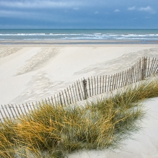 ig9937-Georges-Felix-Cohen-Les-Dunes-IX